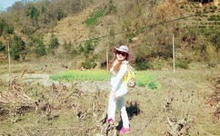 秋葵草莓丝瓜黄瓜榴莲污统计